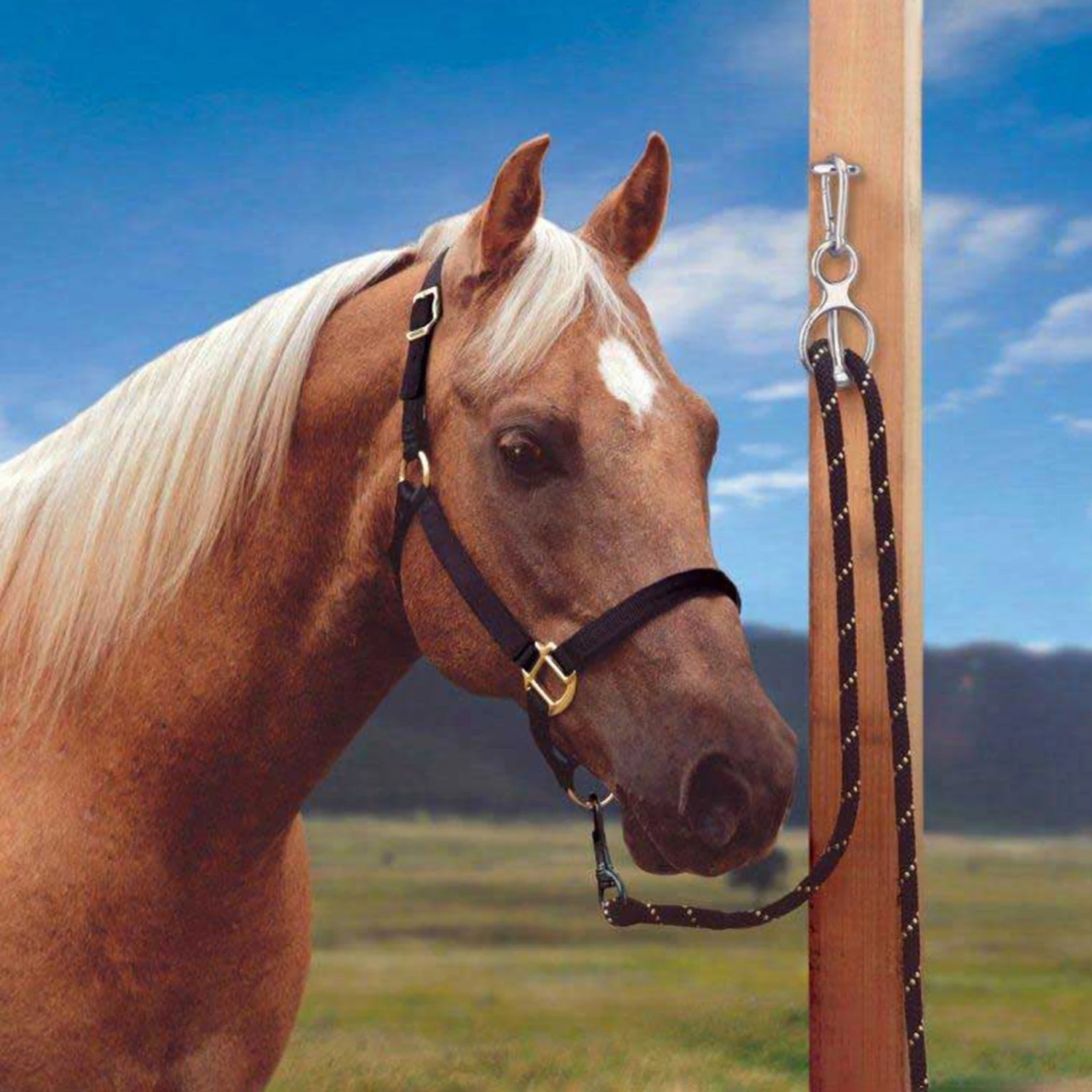 Blocker Tie Ring II 2 Blocker Tie Ring II - Image 2