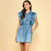 Denim Ruffle Accented Dress