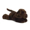 Aurora Chocolate Lab Stuffed Animal