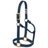 Weaver Leather Navy 1" Average Size Non Adjustable Halter
