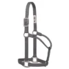 Weaver Leather Small Graphite Nylon Halter