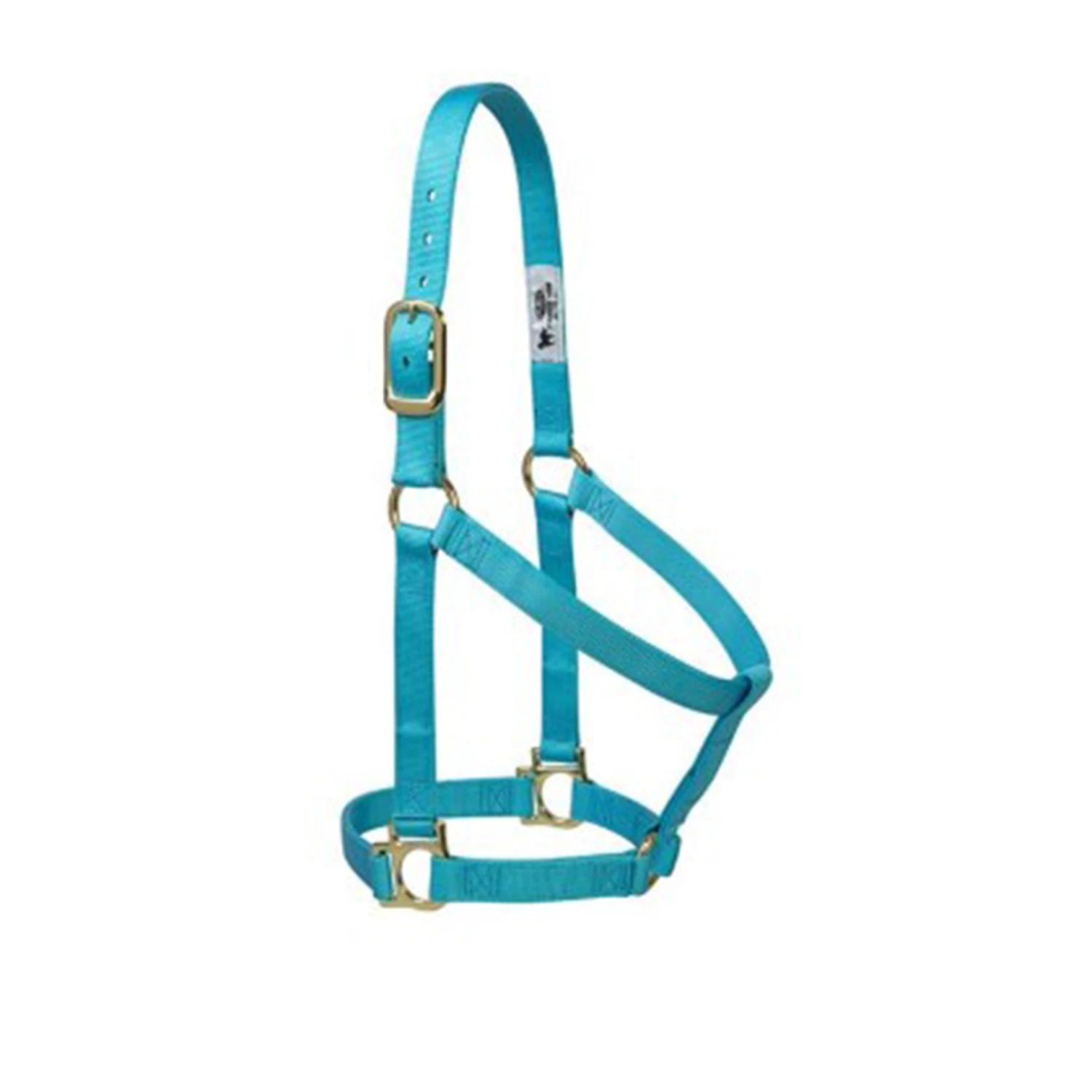Weaver Leather Weaver Halter 1" Average Turquoise 1 Weaver Leather Weaver Halter 1" Average Turquoise