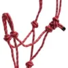 Knot Pony Halter - Red