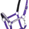 Adjustable Nylon Miniature Halter With Crystal Accents - Purple
