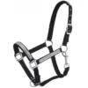 Adjustable Nylon Miniature Halter With Crystal Accents - Black