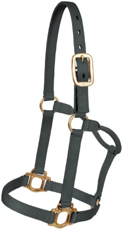 Mustang Traditional Nylon Halter - Colt - Black
