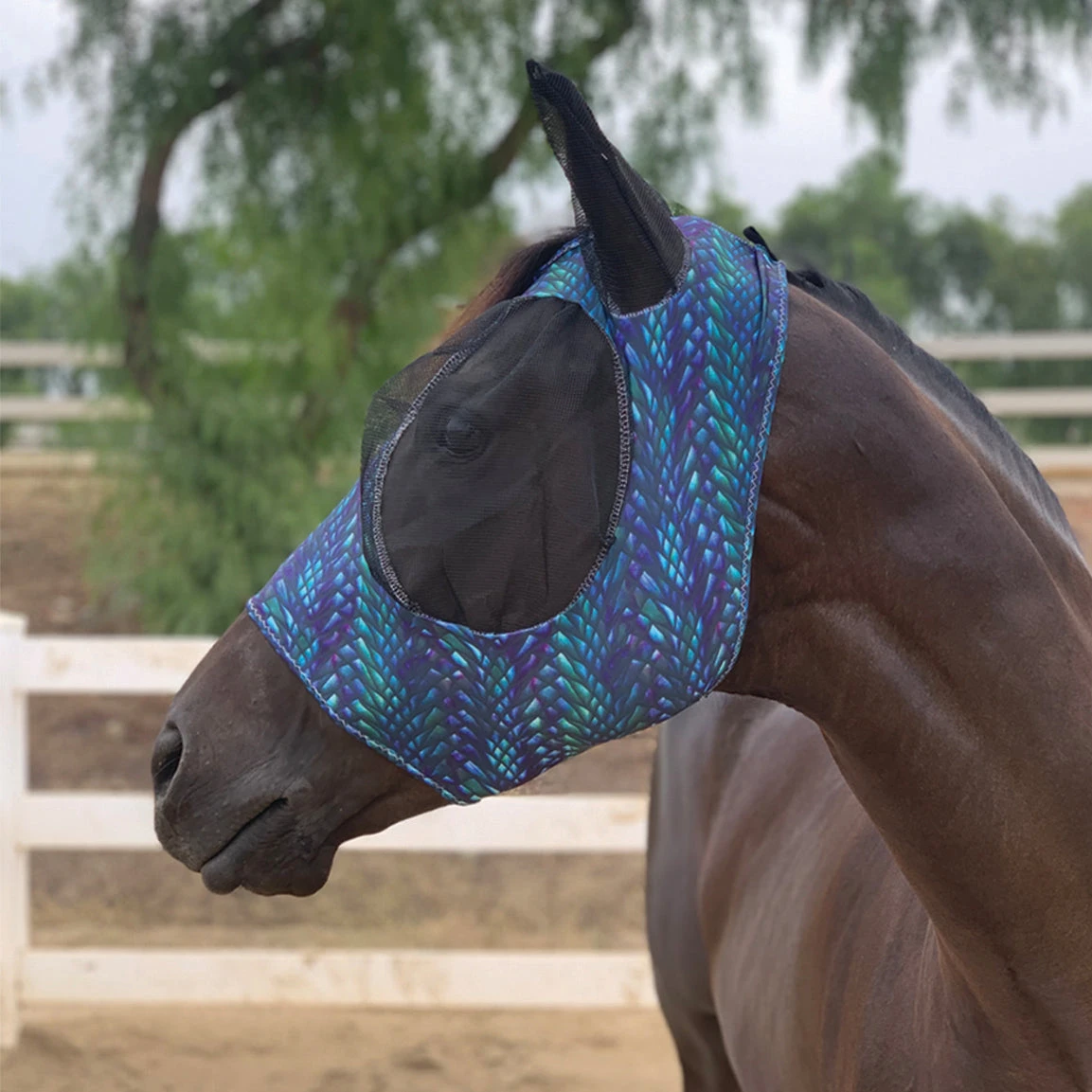 Professional's Choice Dragon Cob Fly Mask 1 Professional's Choice Dragon Cob Fly Mask