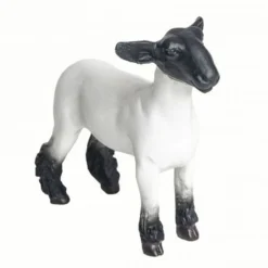 Little Buster Toys Crossbred Market Lamb -Heydudes Cowboy Shop CrossbredMarketLambFront 540x557 41e59723 5419 45b3 a73c 633a2bf59a22