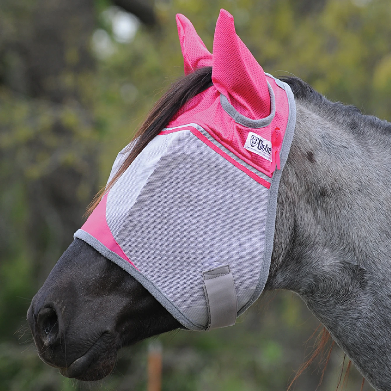 Cashel Pink- Full Ears Fly Mask - Supports Breast Cancer Research 1 Cashel Pink- Full Ears Fly Mask - Supports Breast Cancer Research