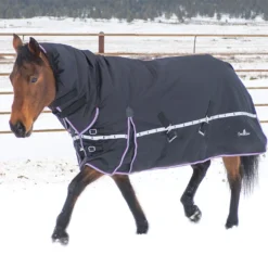 Classic Equine 10K Cross Trainer Winter Hooded Blanket- Ginger -Heydudes Cowboy Shop Screenshot2022 10 09134000 a634cf12 2870 4f41 ba27 0a9960cc889e