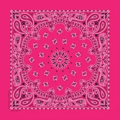 Hot Pink Paisley Bandanna