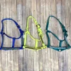 Horse Halter