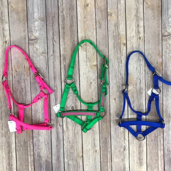 Weanling Halter 1 Weanling Halter