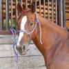 Martin Saddlery Purple And Grey Rope Halter