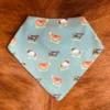 Bred For Success Bandana Drool Bib