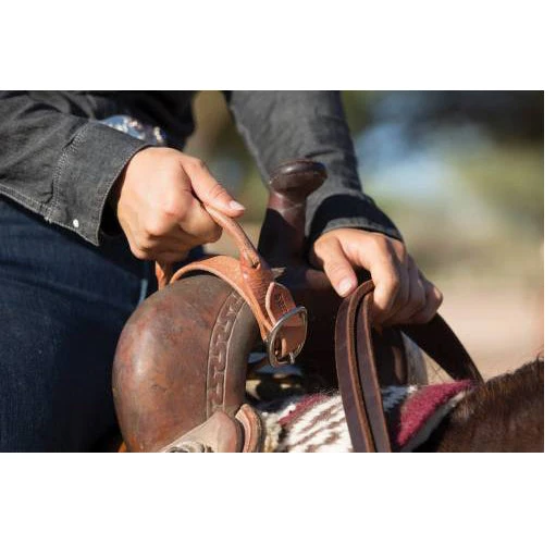 Professional's Choice Night Latch 2 Professional's Choice Night Latch - Image 2