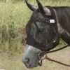 Cashel Quiet Ride Horse Fly Mask