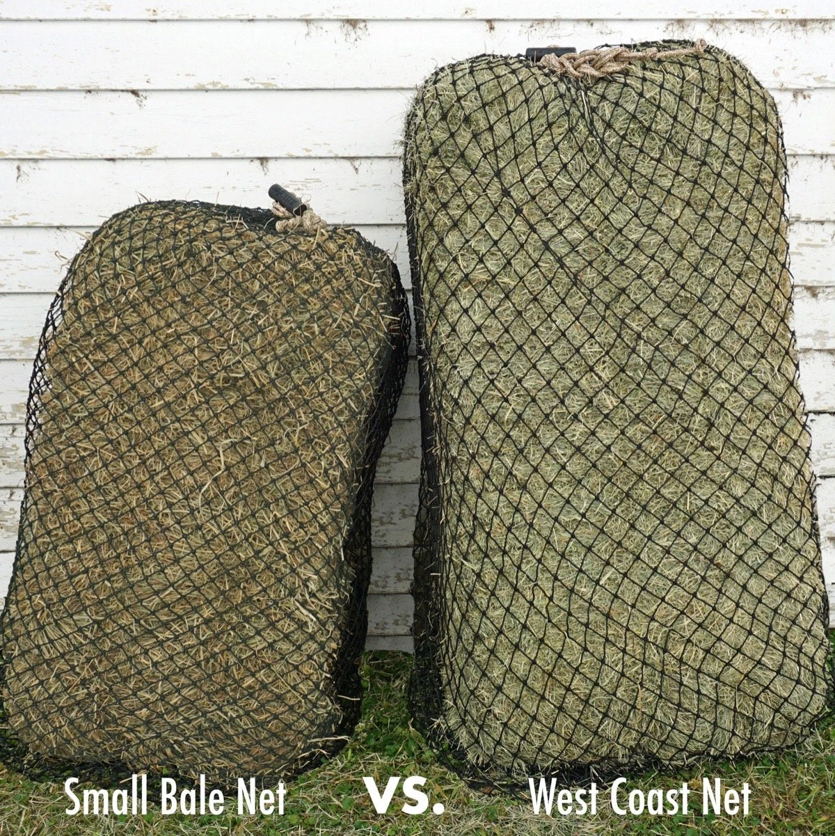 Hay Chix West Coast Hay Net 1 Hay Chix West Coast Hay Net